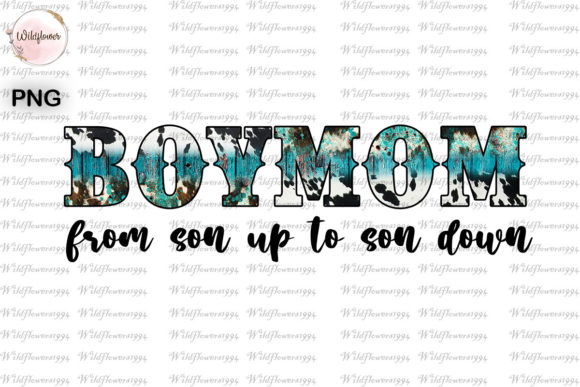 Boy Mom From Son Up To Son Down Review